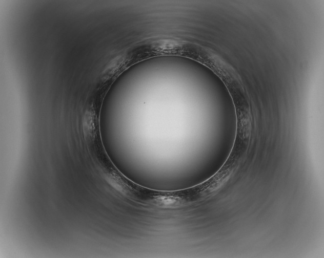 X0000116620654200912111157