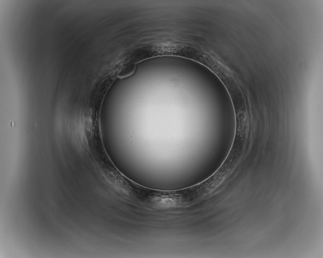 X0000116620655200912111157