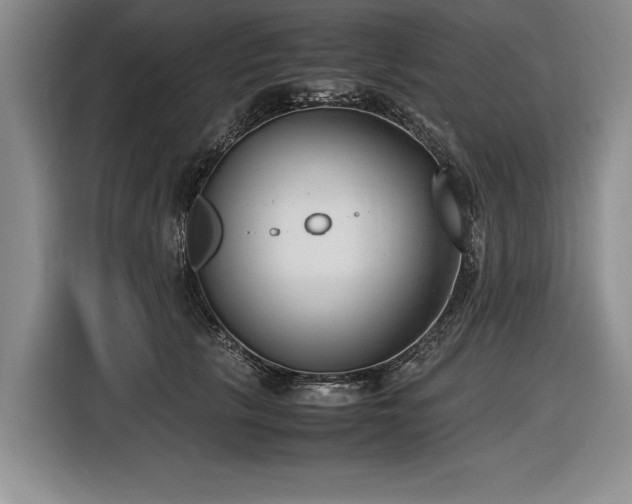 X0000116620657200912111157