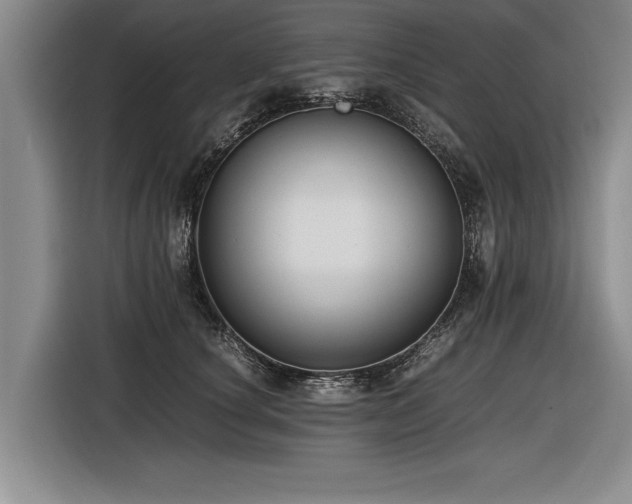 X0000116620660200912111157