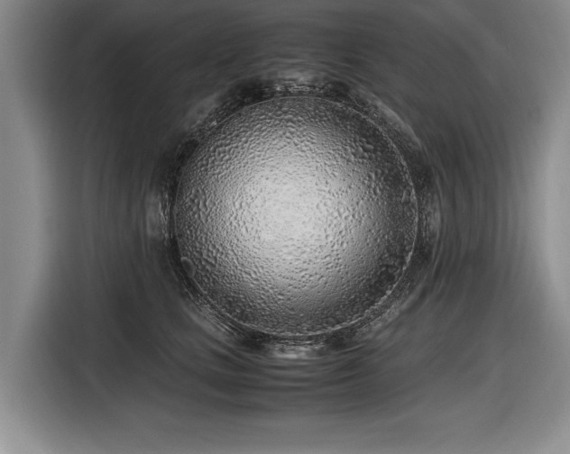 X0000116620661200912111157
