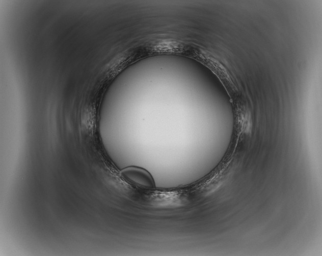X0000116620665200912111157