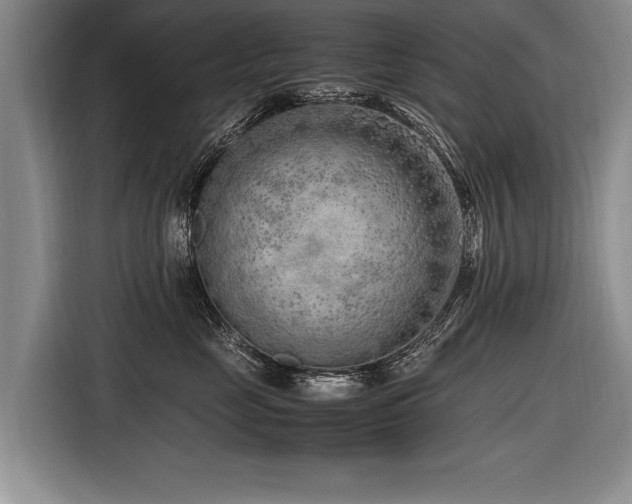 X0000116620669200912111157