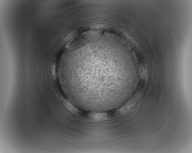 X0000116620670200912111157