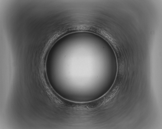 X0000116620673200912111157