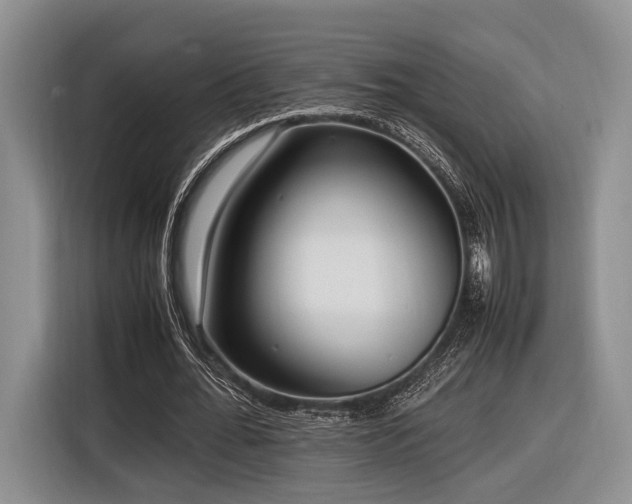 X0000116620676200912111157