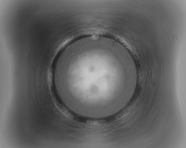X0000116620679200912111157
