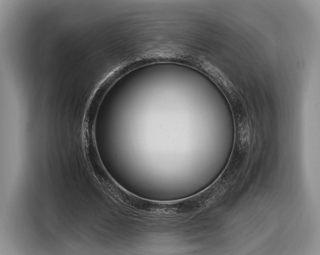 X0000116620680200912111157