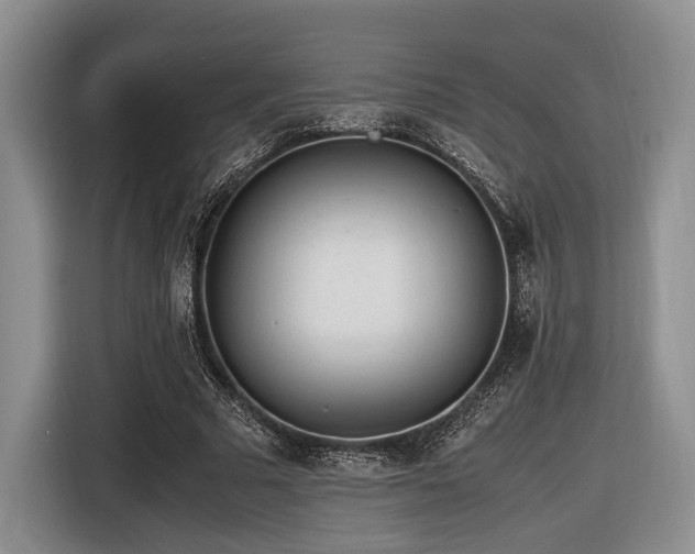 X0000116620681200912111157