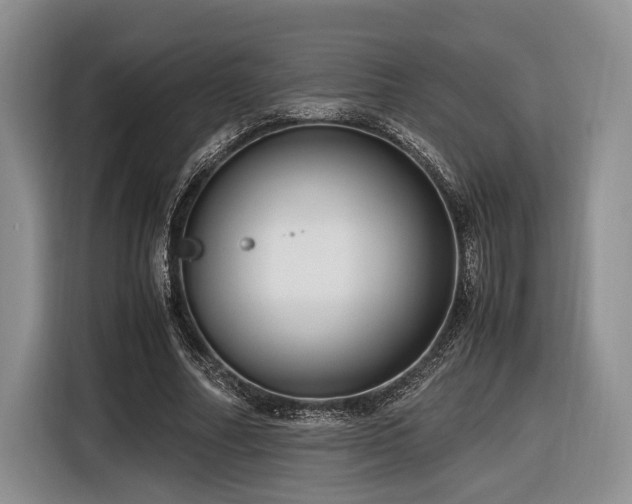 X0000116620682200912111157