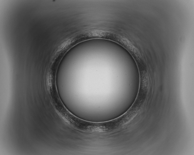 X0000116620683200912111157