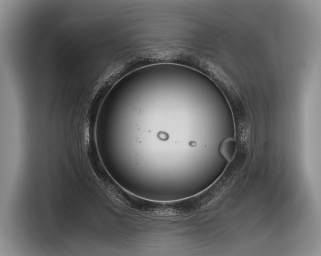 X0000116620685200912111157