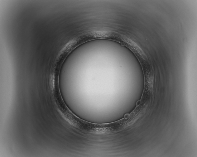 X0000116620686200912111157