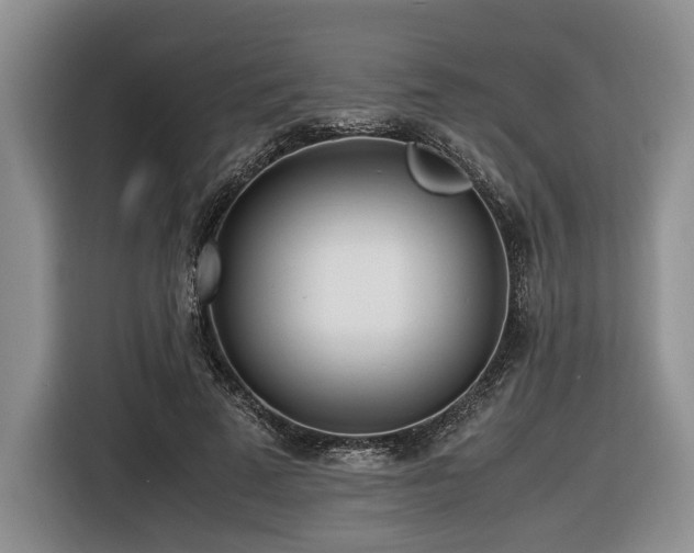 X0000116620689200912111156