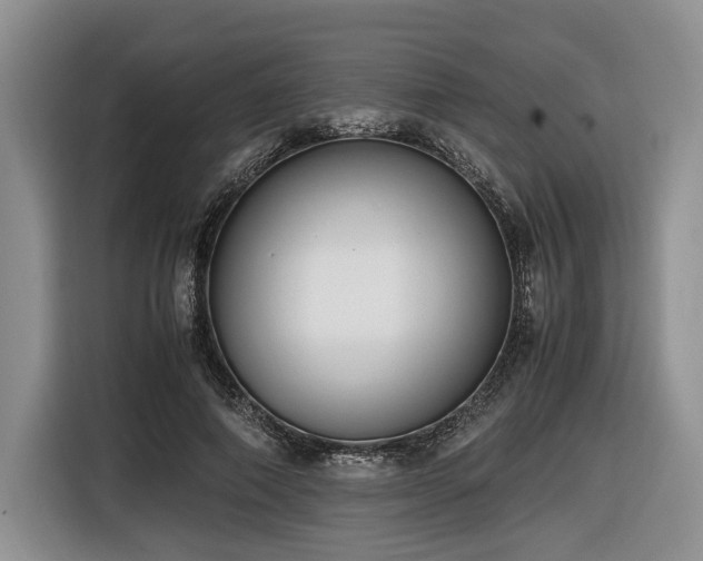 X0000116620690200912111156