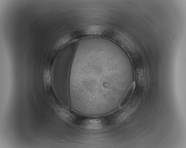 X0000116620692200912111156