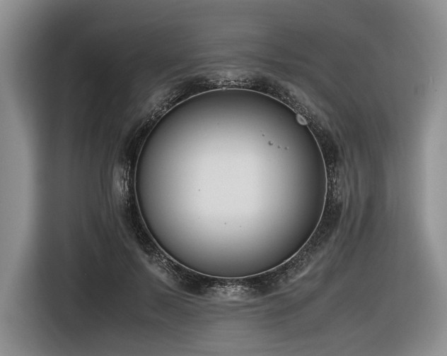 X0000116620695200912111156