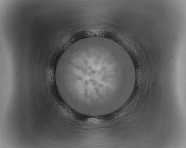 X0000116620699200912111156