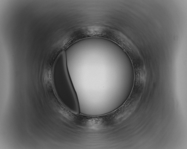X0000116620700200912111156