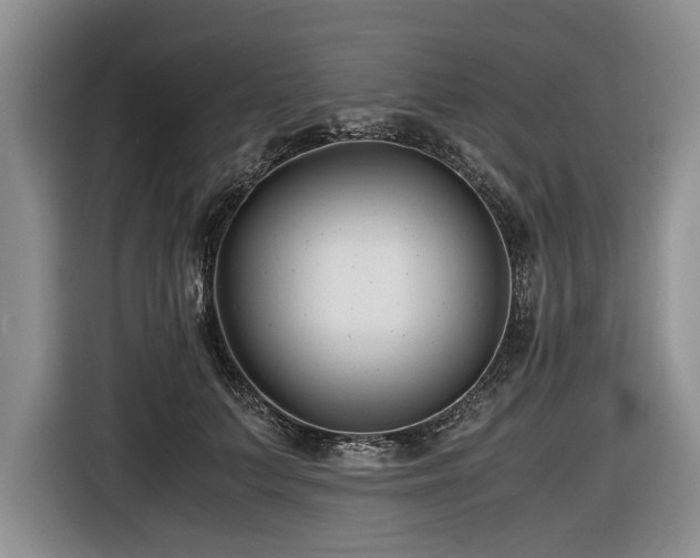 X0000116620703200912111156