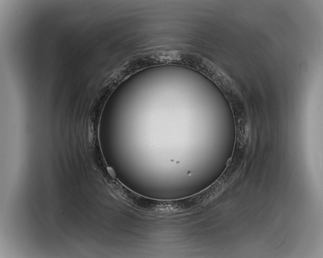 X0000116620704200912111156