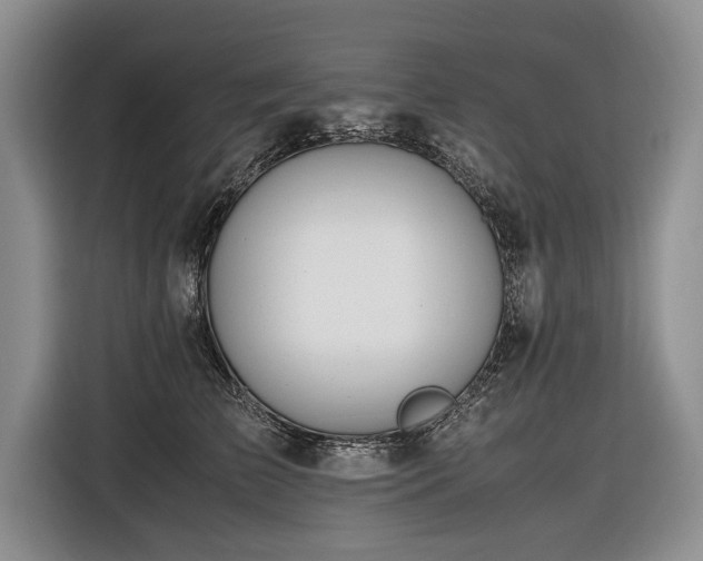 X0000116620709200912111156