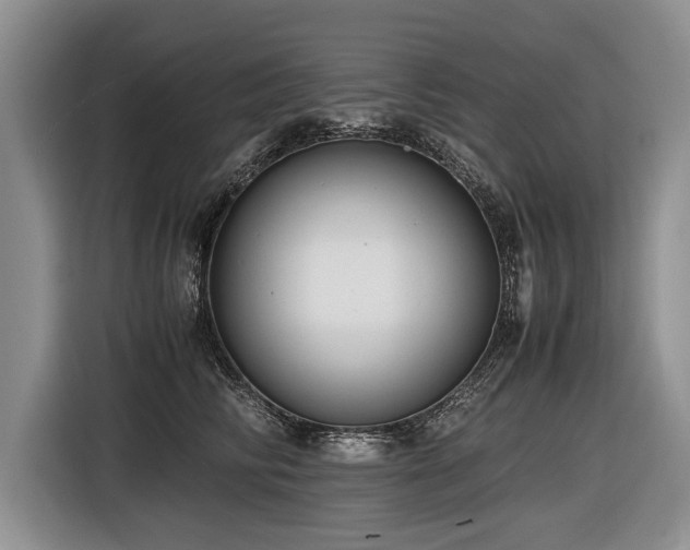 X0000116620710200912111156
