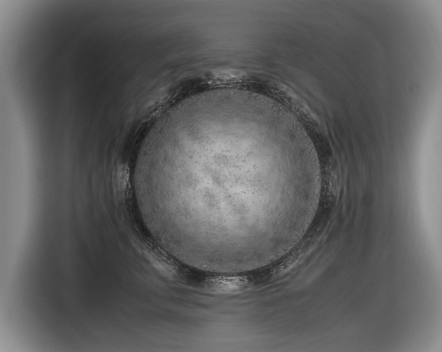 X0000116620711200912111156