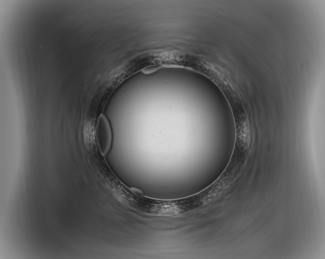 X0000116620715200912111156