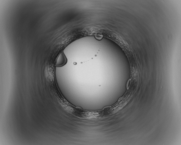 X0000116620719200912111156
