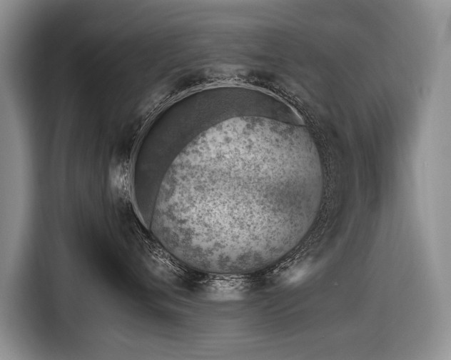 X0000116620720200912111156