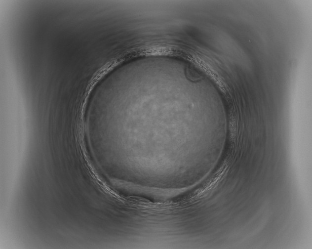 X0000116620721200912111155