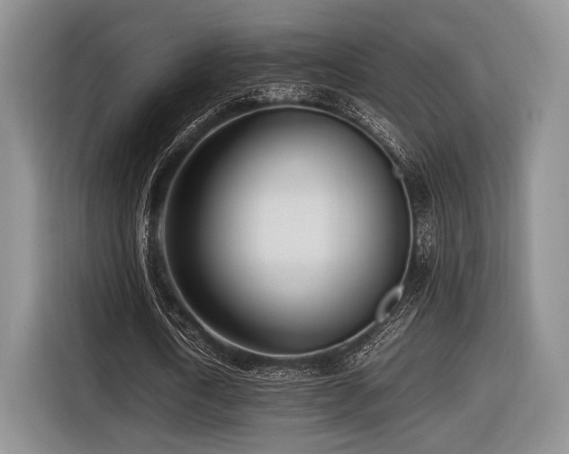 X0000116620722200912111155
