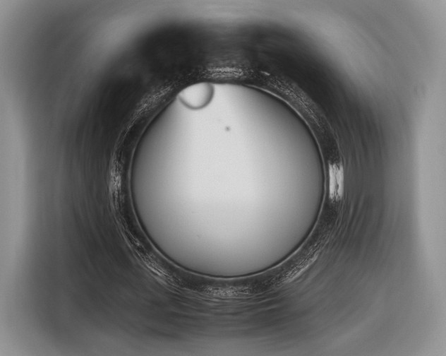 X0000116620723200912111155