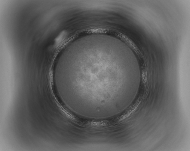 X0000116620725200912111155