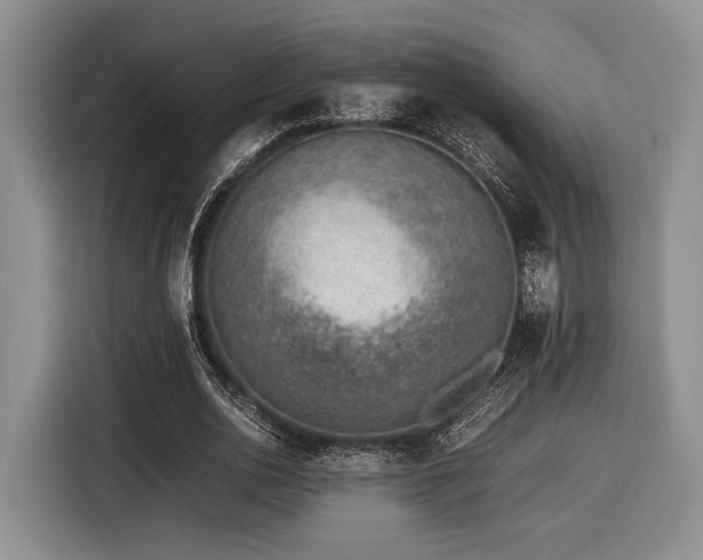 X0000116620726200912111156