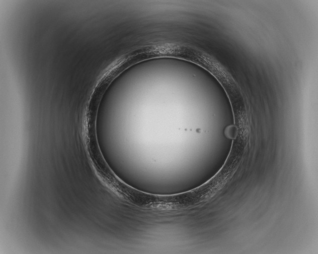 X0000116620730200912111156