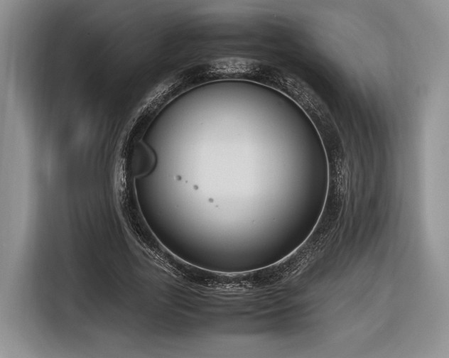 X0000116620731200912111156