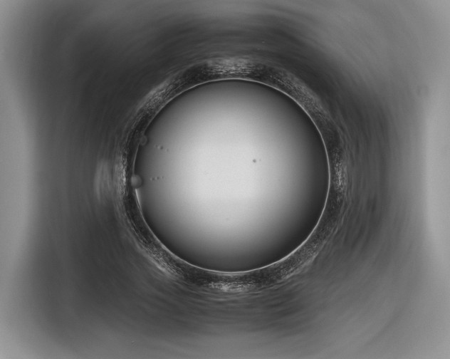 X0000116620733200912111156
