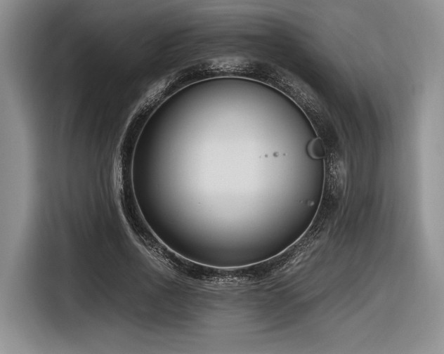 X0000116620734200912111156