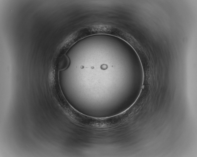 X0000116620735200912111156