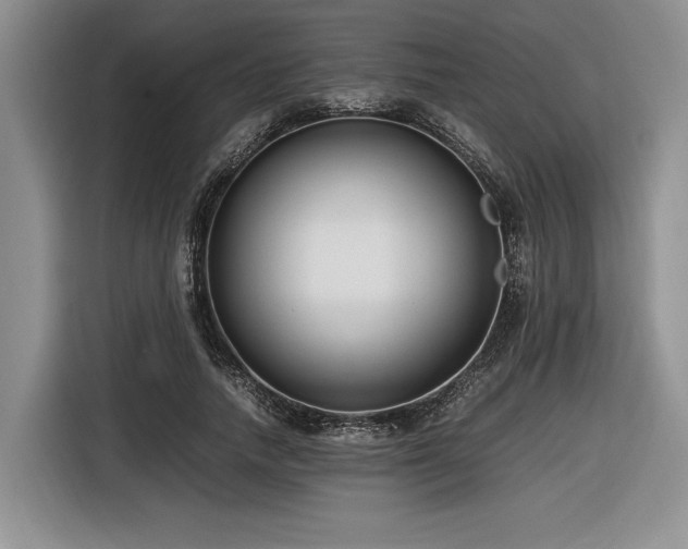 X0000116620738200912111156
