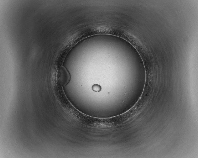 X0000116620739200912111156