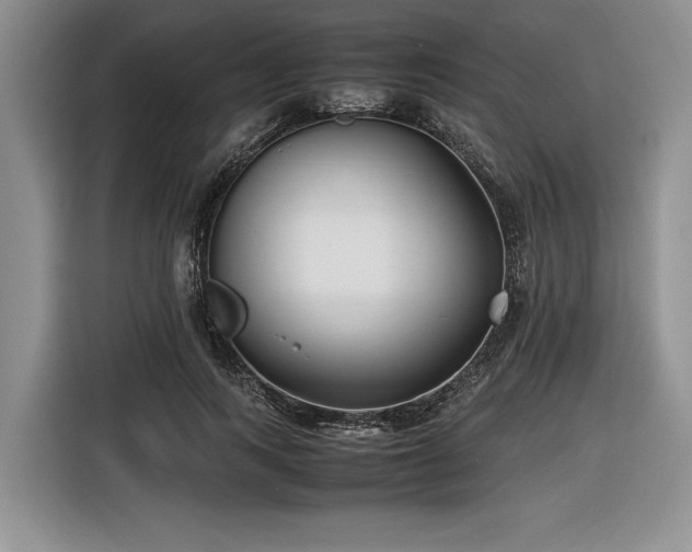 X0000116620743200912111156