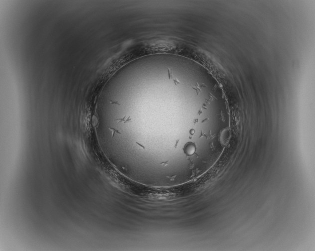 X0000116620745200912111156
