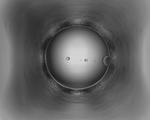 X0000116620746200912111156