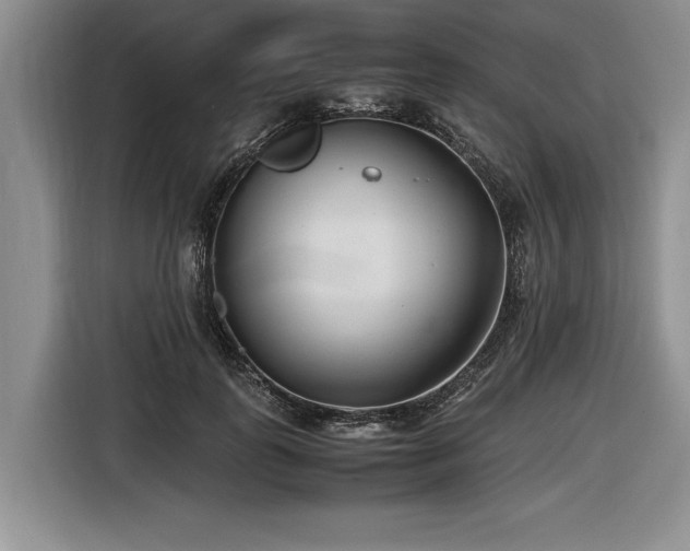 X0000116620747200912111156
