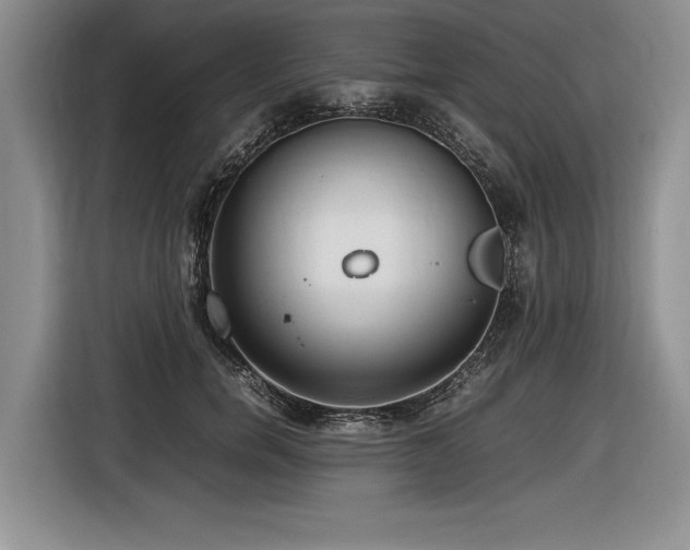 X0000116620750200912111156