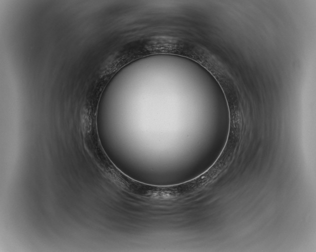 X0000116620751200912111156