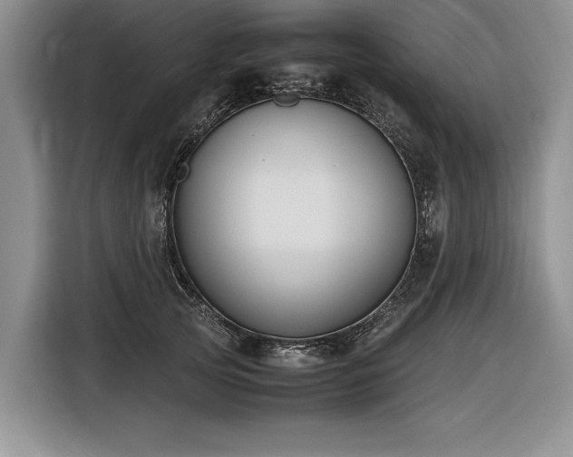 X0000116620753200912111156